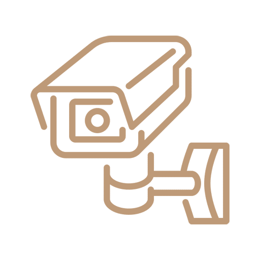 Video Surveillance 